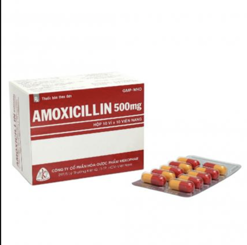 AMOXICILIN CAPS 500MG BOX 100