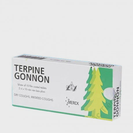 Terpine Gonnon Tab ( Hộp 2 vỉ x 10 viên)