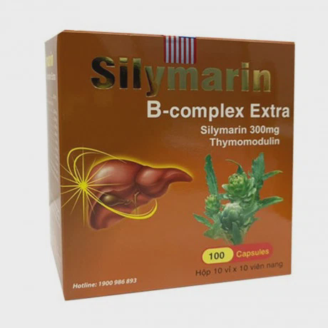 Silymarin B Complex (Hộp 10 vỉ x 10 viên)