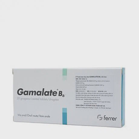 Gamalate B6 (2Vi x 10Vien)