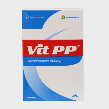 Vit PP 500mg (10Vi x 10Vien)