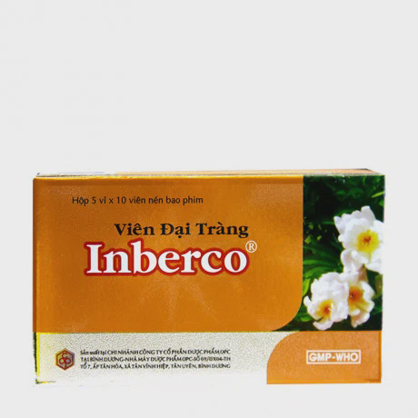 Viên đại tràng Inberco OPC trị tiêu chảy, viêm đại tràng, lỵ (5 vỉ x 10 viên)
