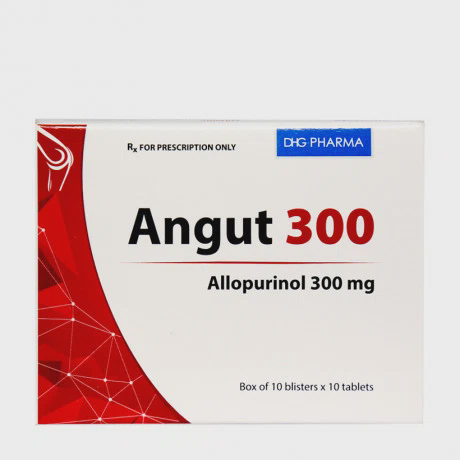 Angut 300mg (10vi x 10vien)