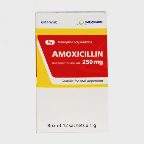 Amoxicillin 250mg Imexpharm (Hop 12Goi)