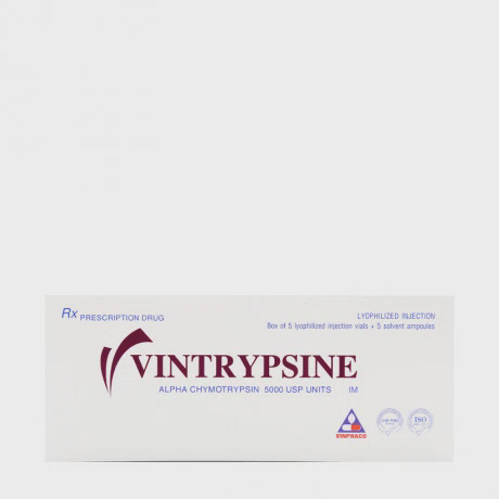 Vintrypsine Vinh Phuc (5lo + 5ong)  Inj