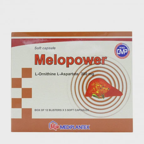 Melopower 300mg (12vi x5vien)
