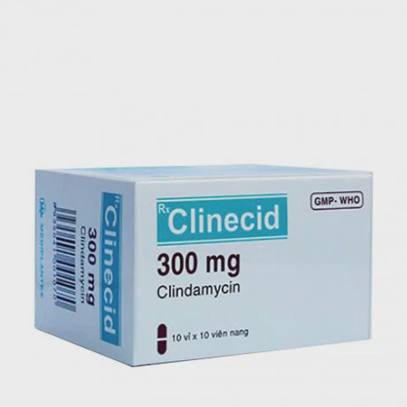 Clinecid Caps 300mg (10vi x 10vien)