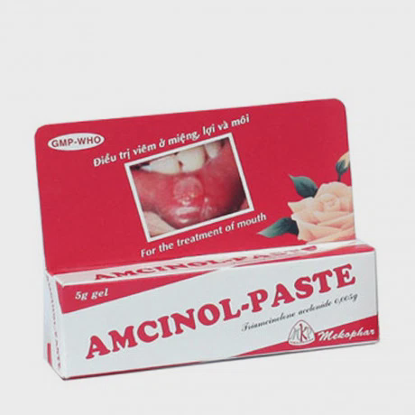 Amcinol-Paste Gel EXT&T/OR % 5g (1Tuýp)