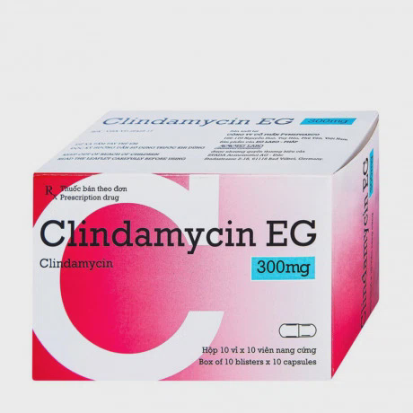 Clindamycin 300mg ( 10 vi x 10 vien)