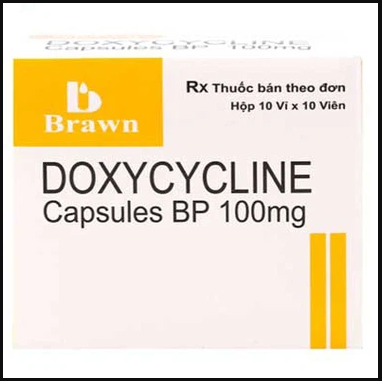 Doxycycline 100mg Brawn điều trị bệnh Brucella, bệnh tả